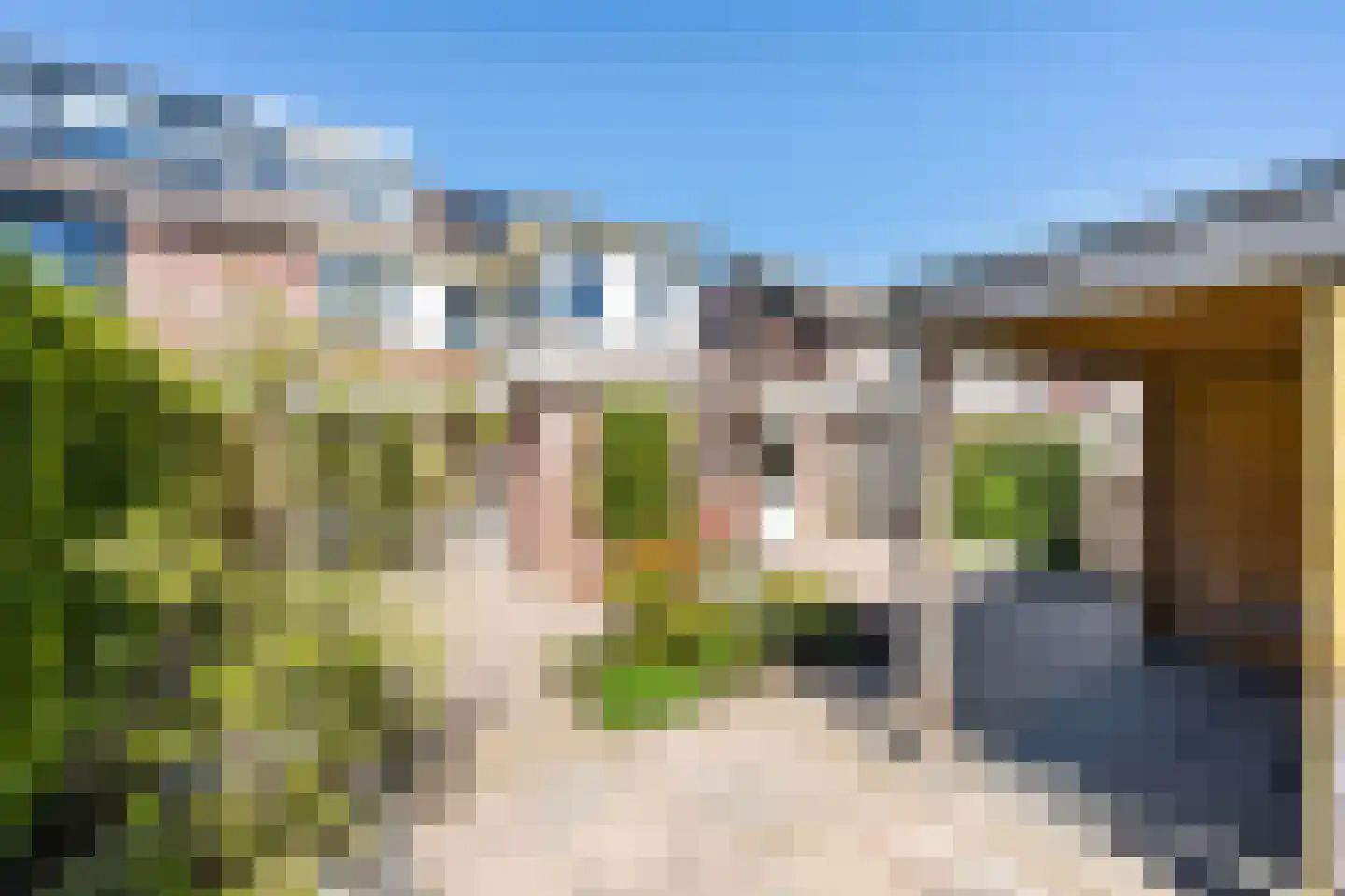 Langkamp 89 Dalfsen thumbnail 28
