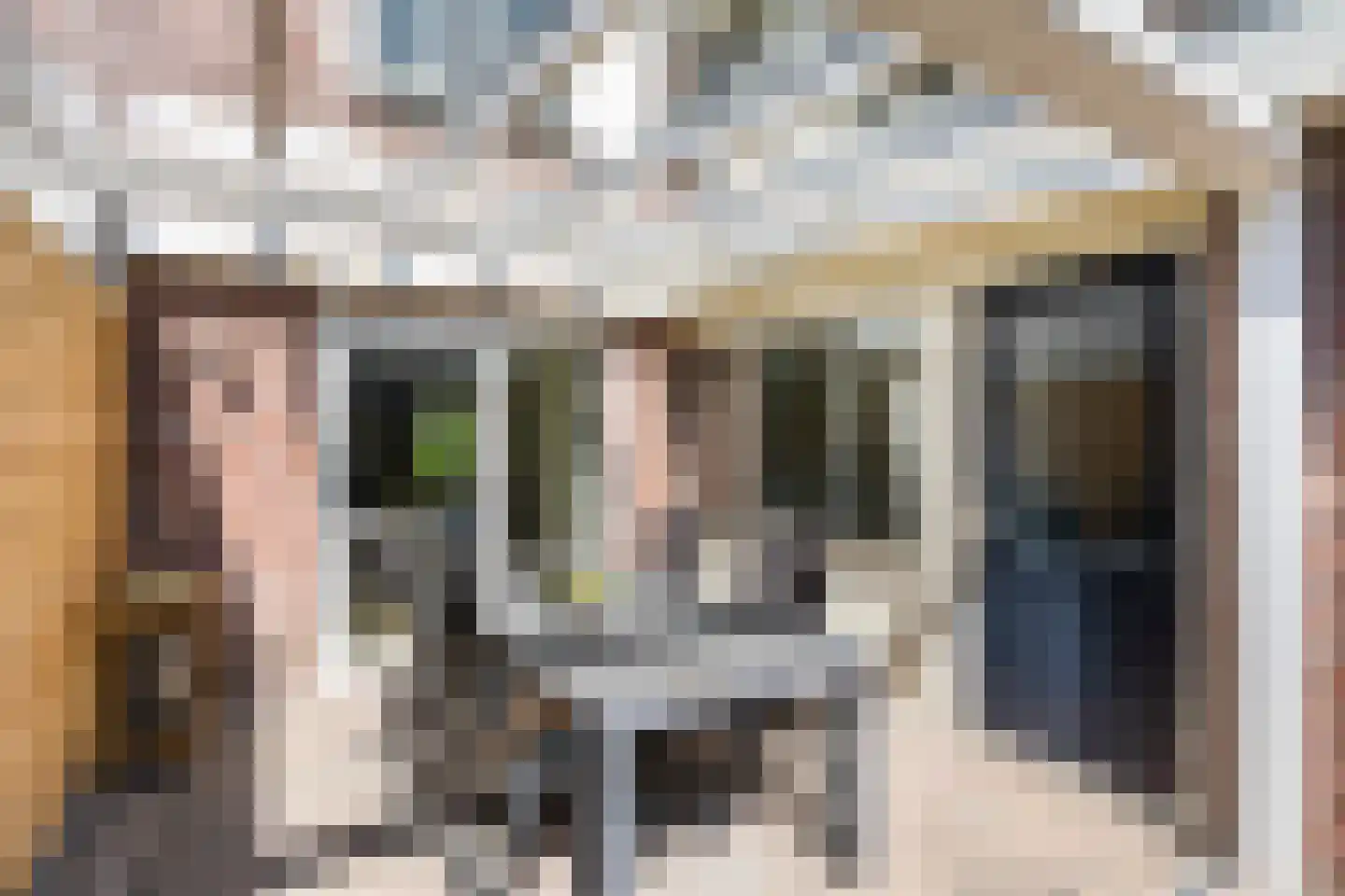 Langkamp 89 Dalfsen thumbnail 29