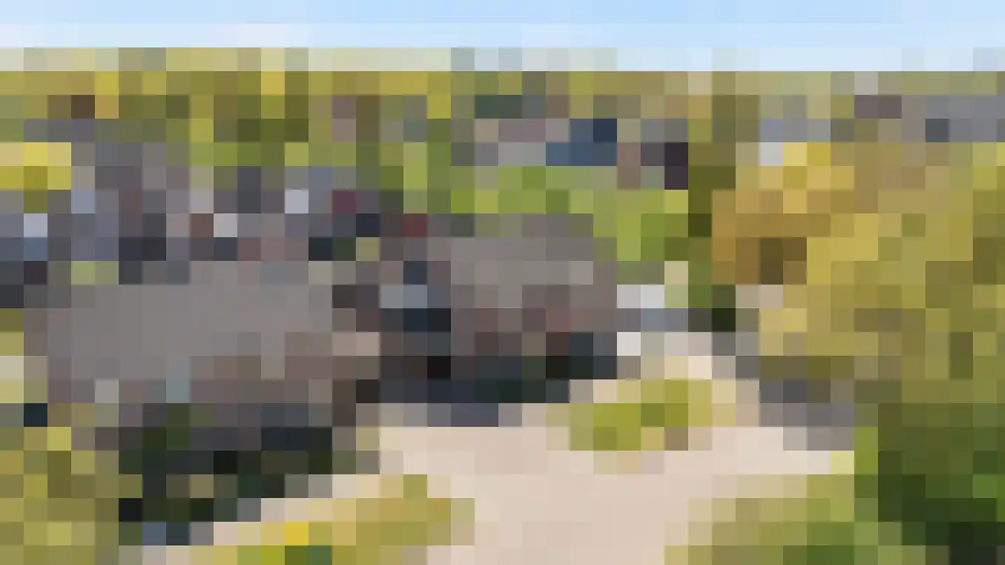 Langkamp 89 Dalfsen thumbnail 31