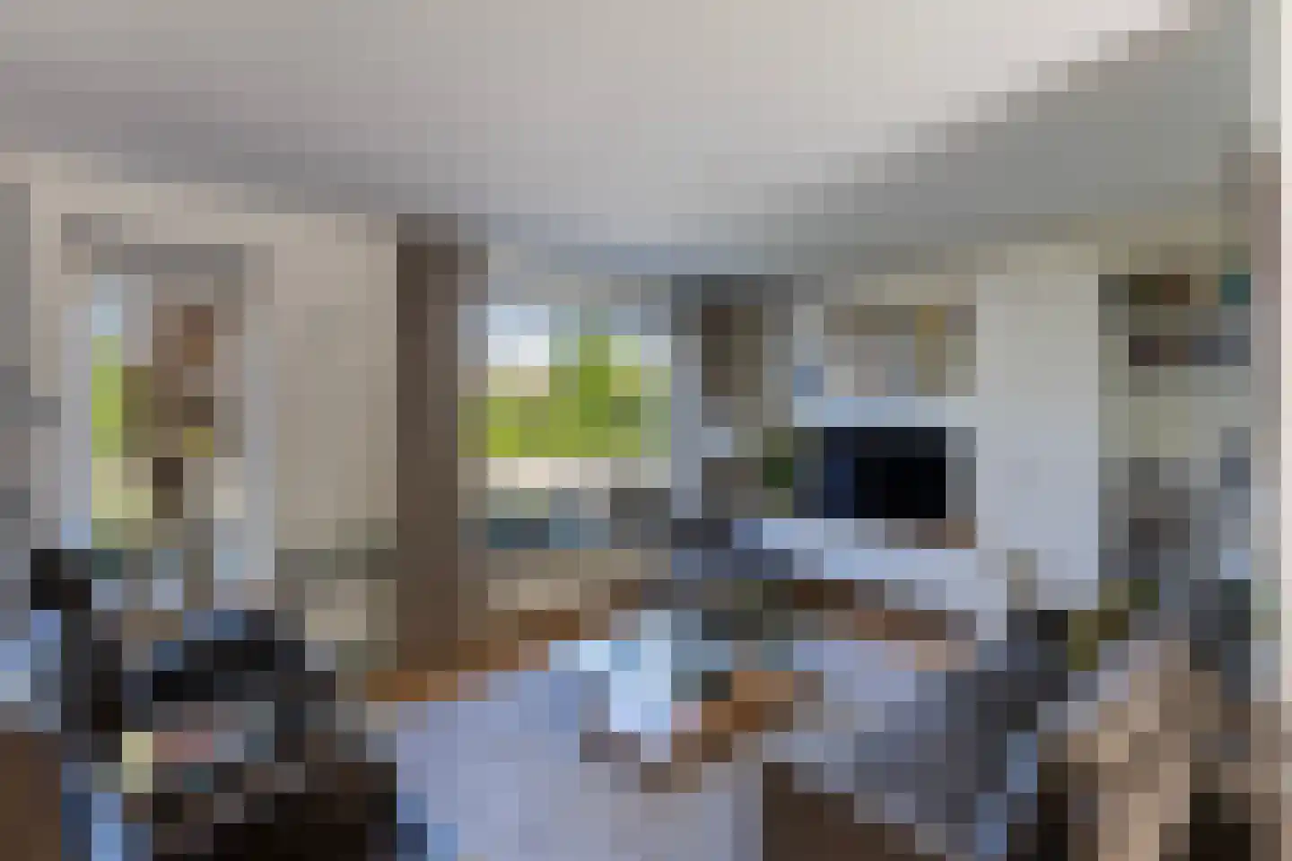 Langkamp 89 Dalfsen thumbnail 4