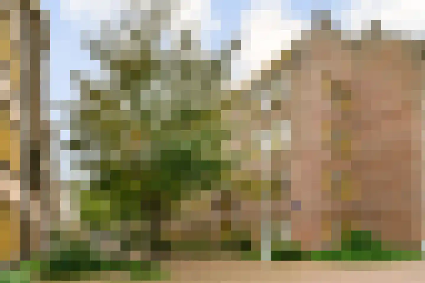 Langkatstraat 16 Amsterdam thumbnail 16