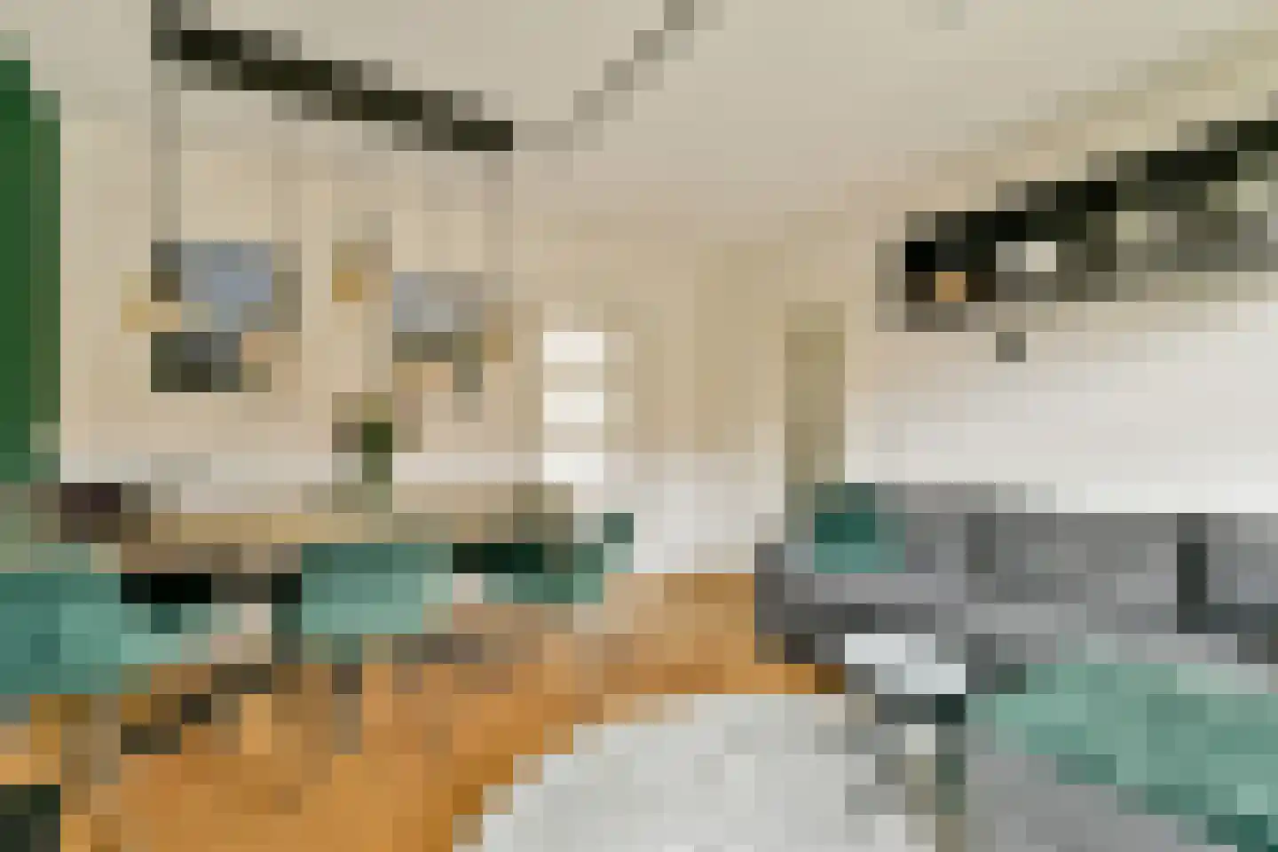Langkatstraat 16 Amsterdam thumbnail 5