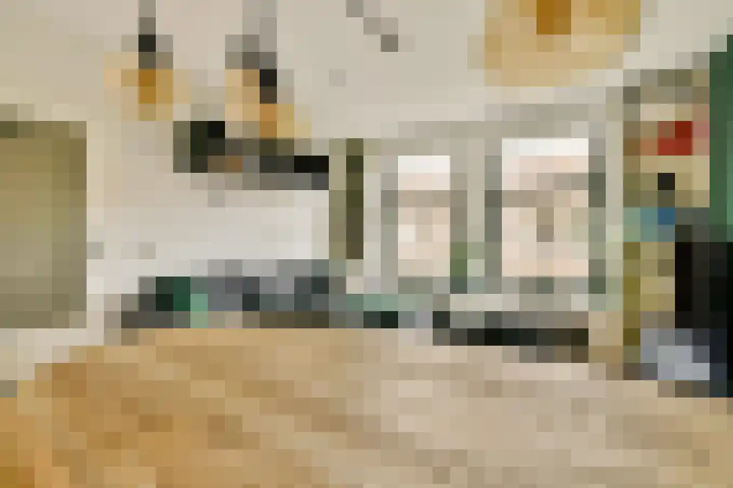 Langkatstraat 16 Amsterdam thumbnail 6
