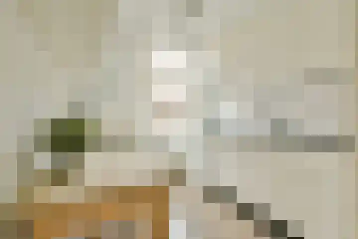 Langkatstraat 28 Amsterdam thumbnail 8