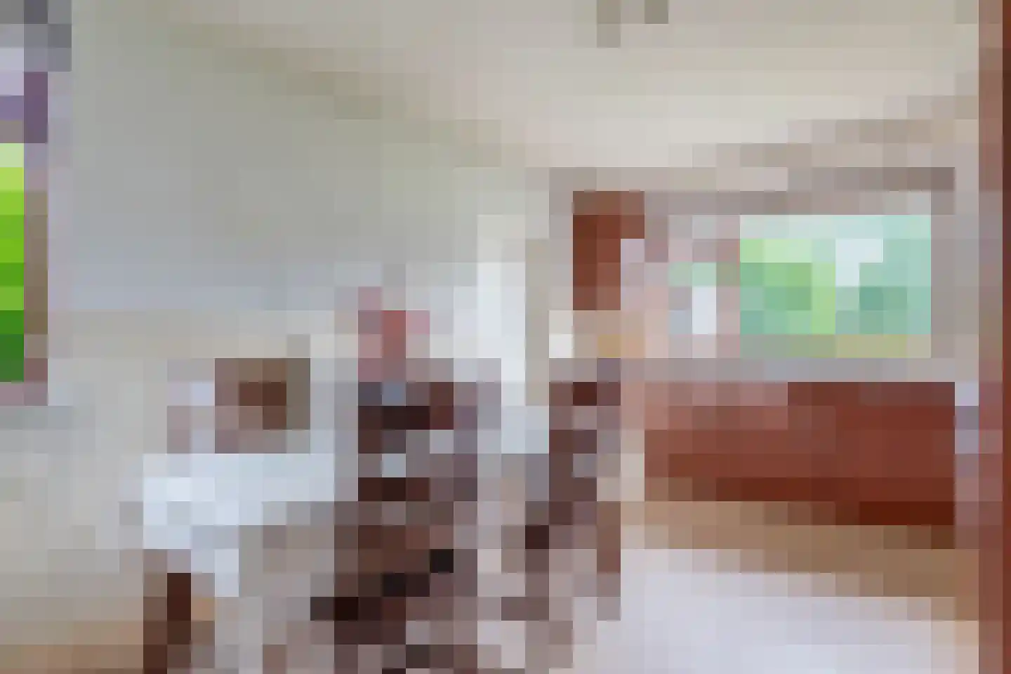 Langlaar 7 Nuenen thumbnail 15