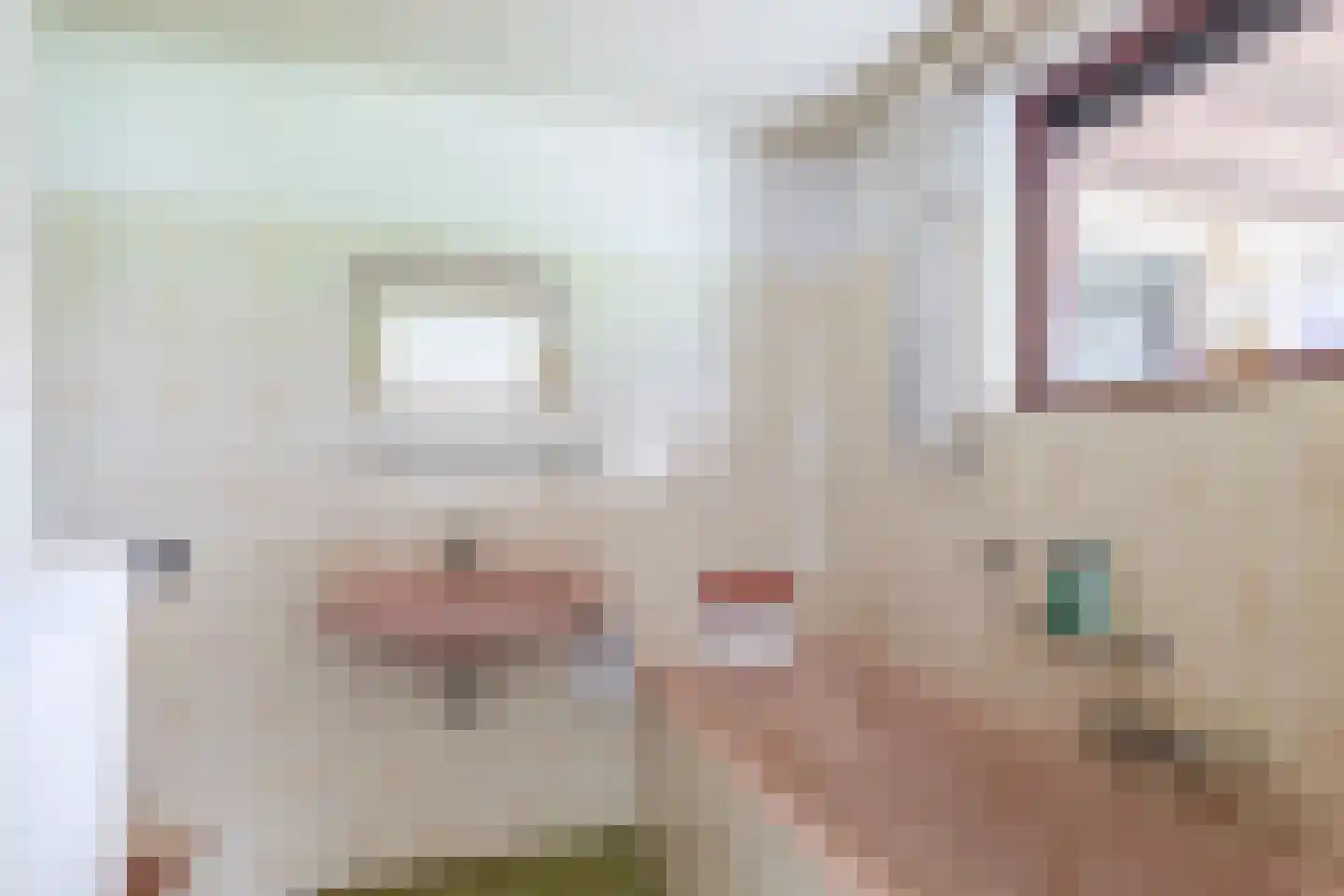 Langlaar 7 Nuenen thumbnail 20