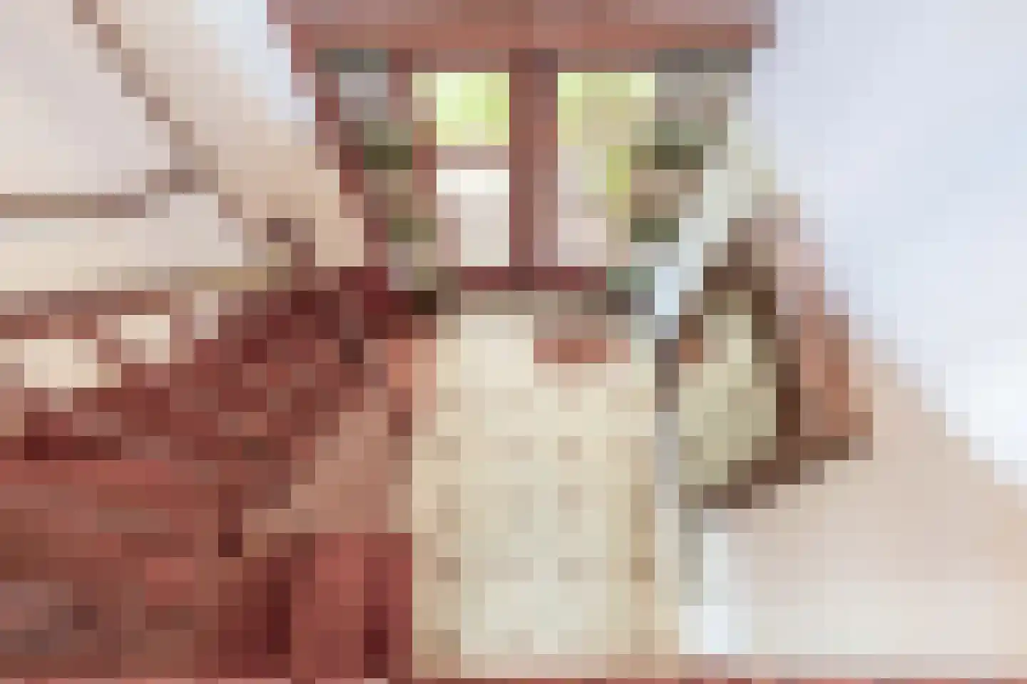 Langlaar 7 Nuenen thumbnail 21