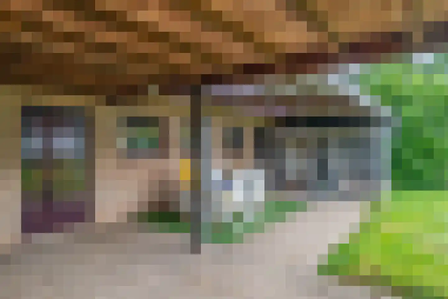 Langlaar 7 Nuenen thumbnail 26