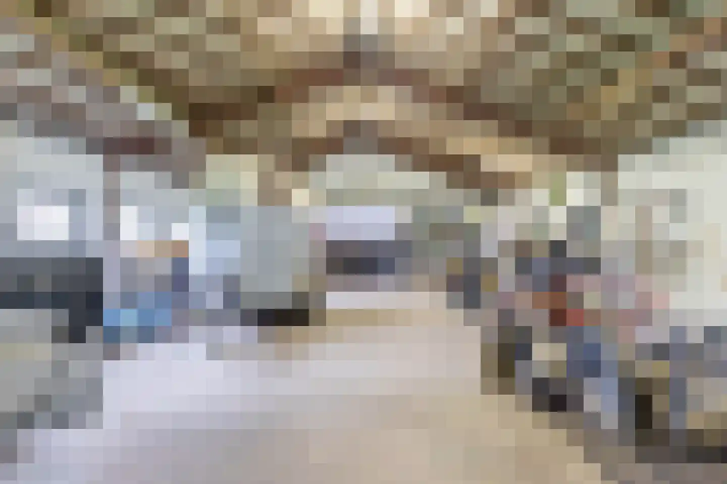 Langlaar 7 Nuenen thumbnail 30