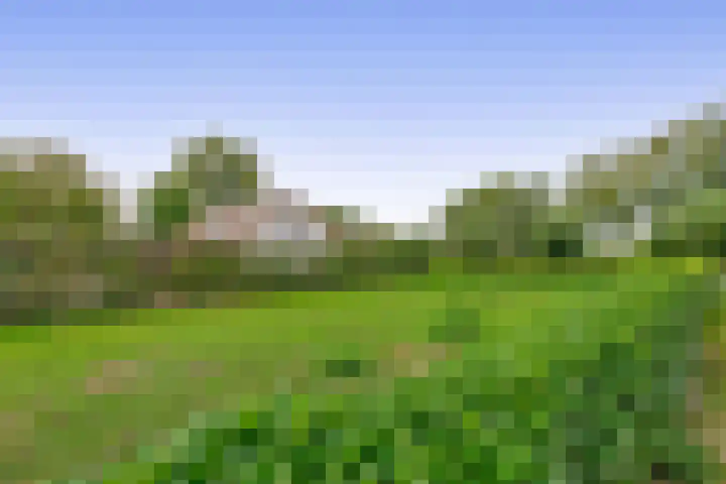 Langlaar 7 Nuenen thumbnail 35
