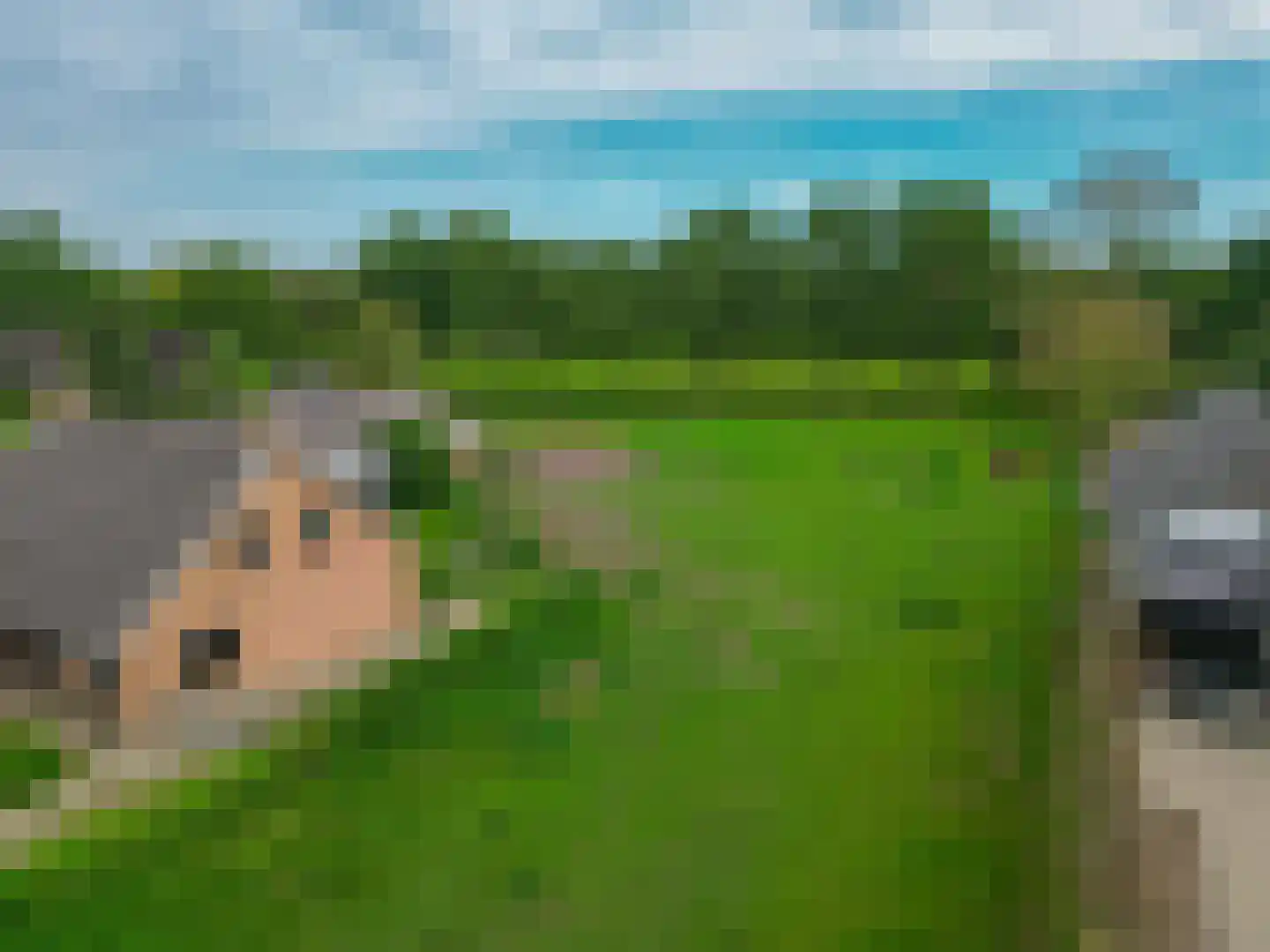 Langlaar 7 Nuenen thumbnail 5