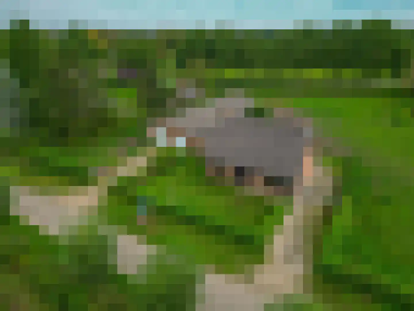 Langlaar 7 Nuenen thumbnail 7