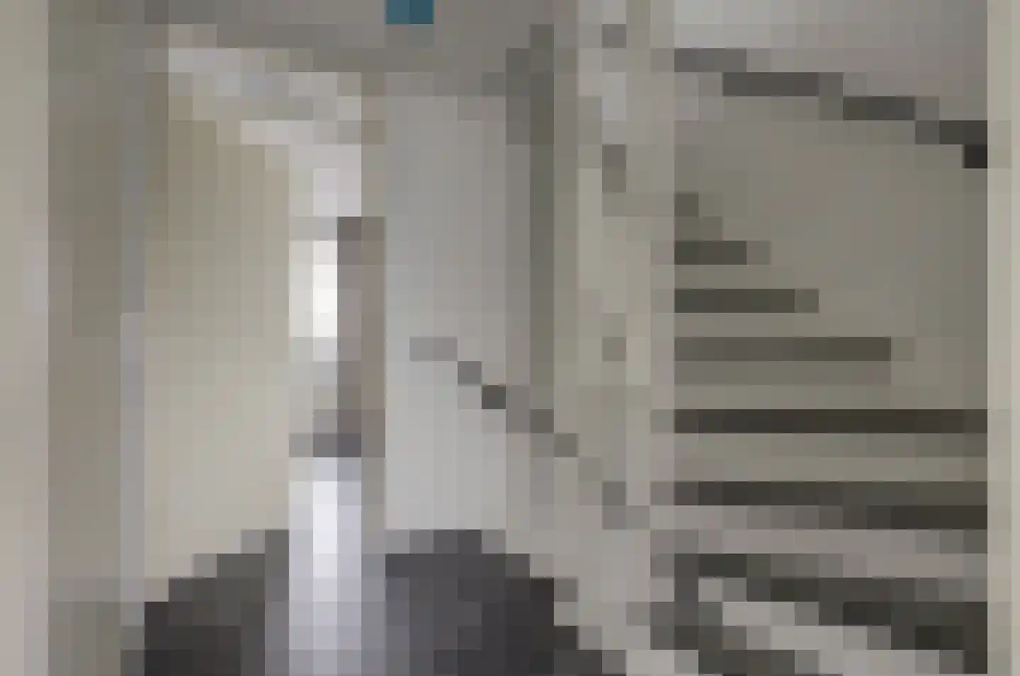Langnekstraat 12 Den Haag thumbnail 89