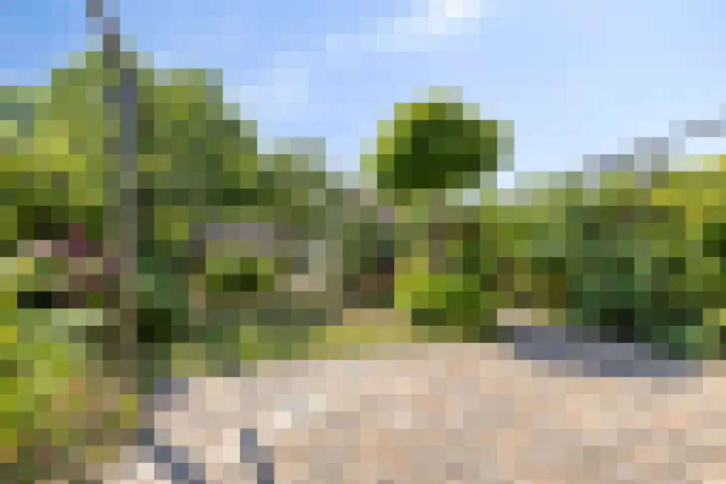 Langoort 29 Broek op Langedijk thumbnail 27