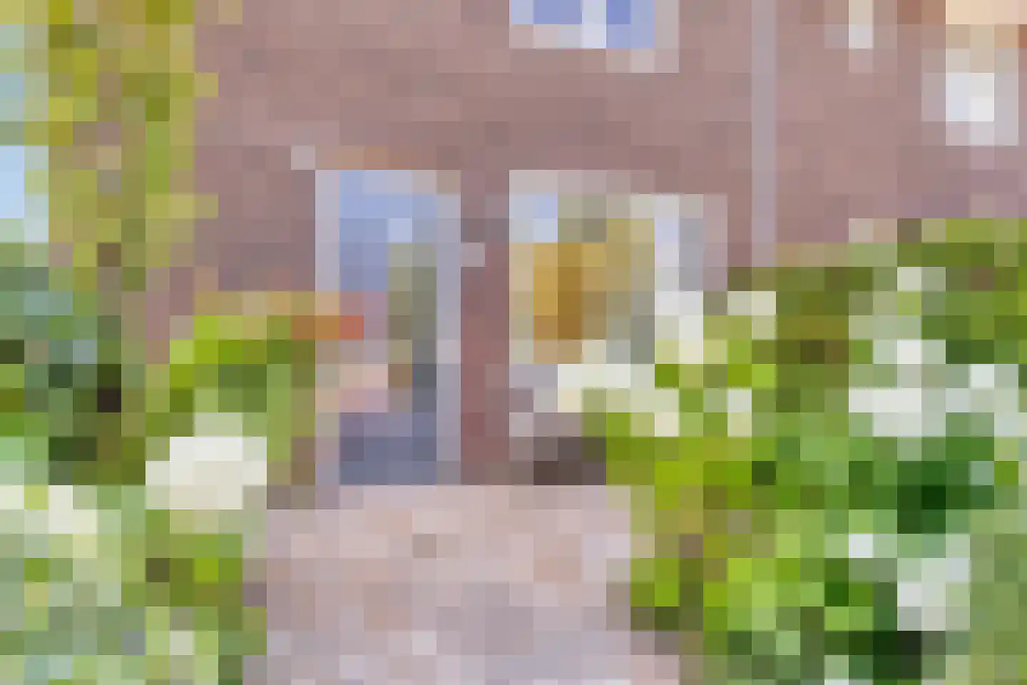 Langoort 29 Broek op Langedijk thumbnail 38