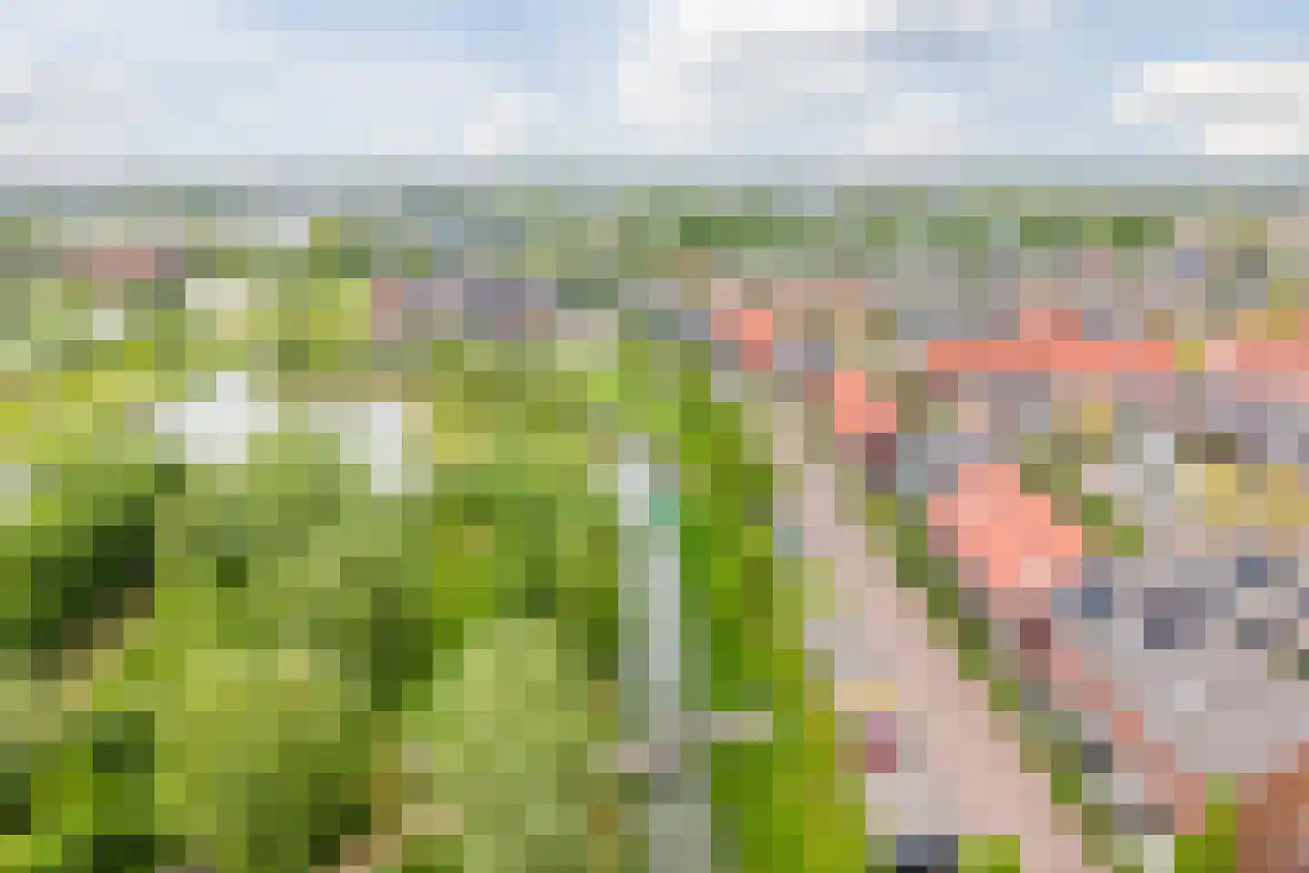 Langoort 35 Broek op Langedijk thumbnail 47