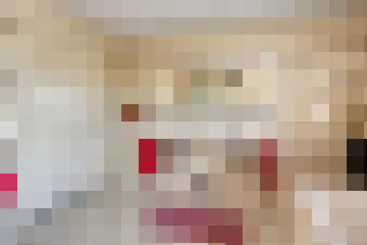 Langpad 31 Veldhoven thumbnail 33