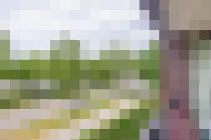 Langpad 31 Veldhoven thumbnail 47