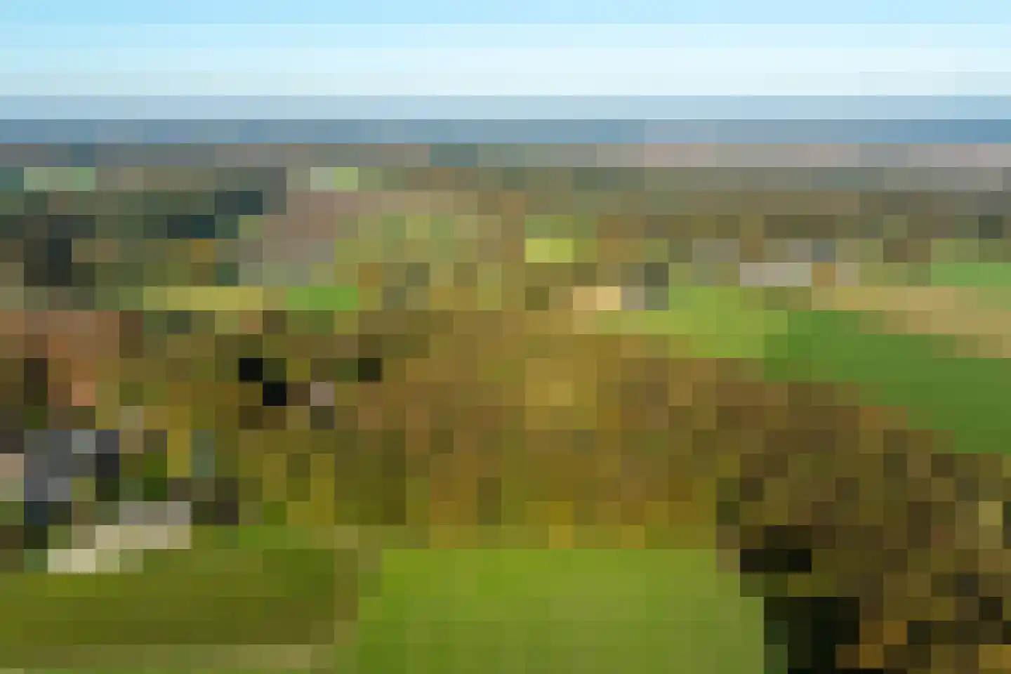 Langpad 31 Veldhoven thumbnail 48