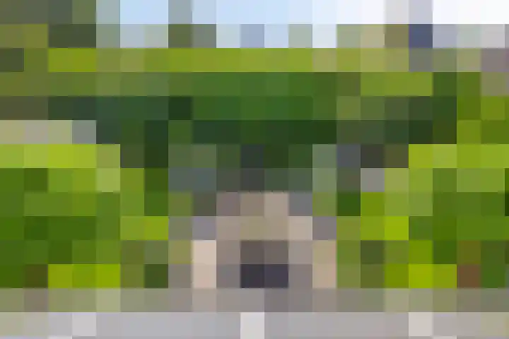 Langpad 31 Veldhoven thumbnail 48