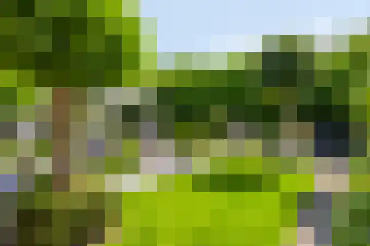 Langpad 31 Veldhoven thumbnail 49