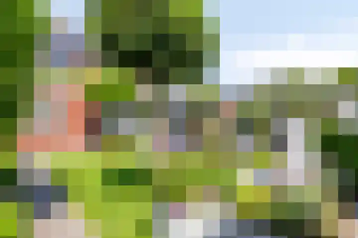Langpad 31 Veldhoven thumbnail 51