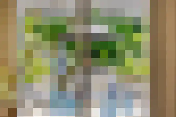 Langpad 31 Veldhoven thumbnail 53