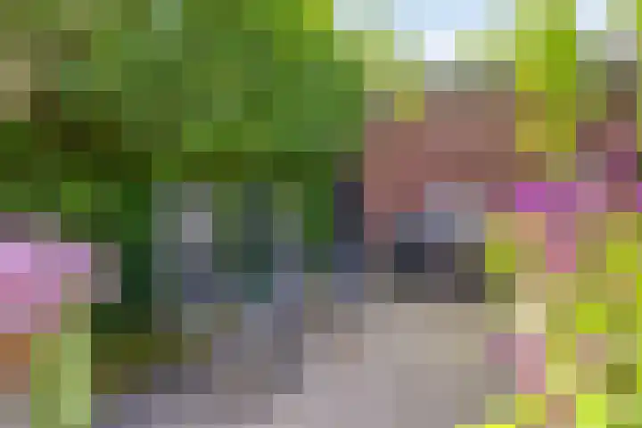 Langpad 31 Veldhoven thumbnail 55