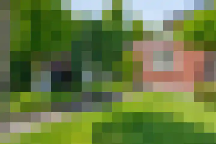 Langpad 31 Veldhoven thumbnail 56