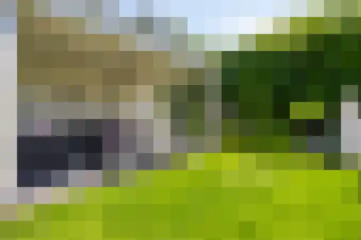Langpad 31 Veldhoven thumbnail 59