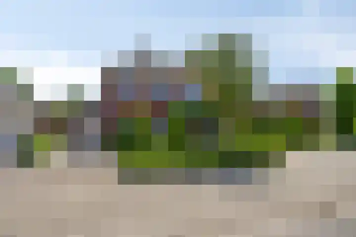 Langpad 31 Veldhoven thumbnail 64
