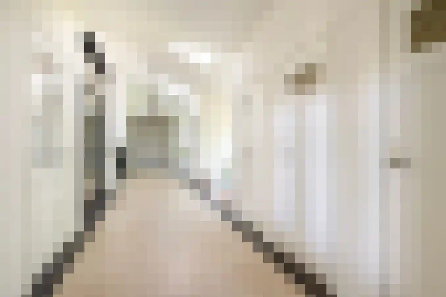 Langpaed 2 Menaam thumbnail 16