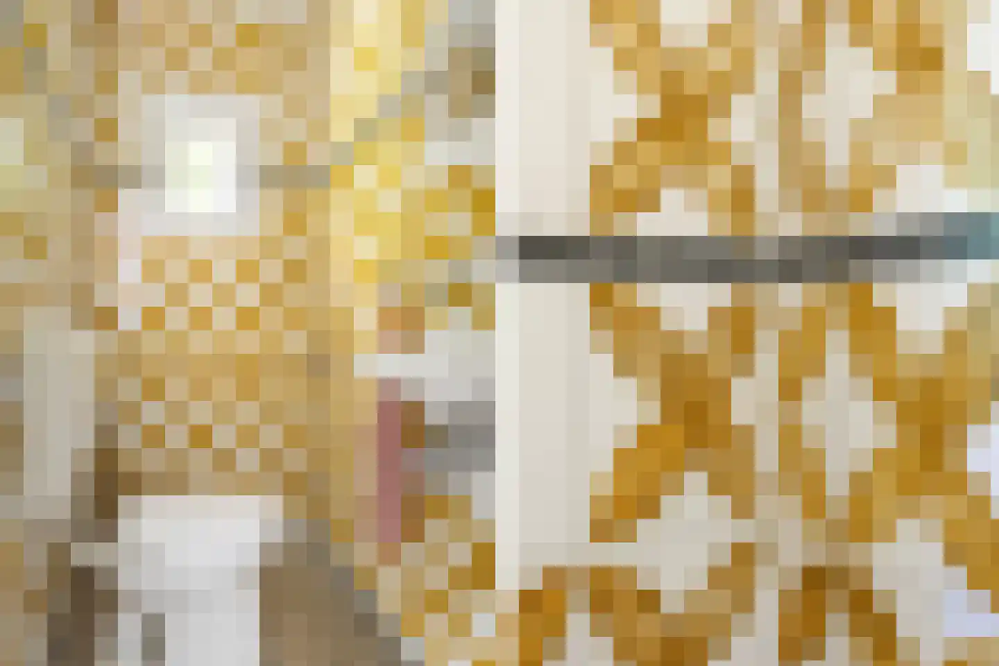 Langpaed 2 Menaam thumbnail 19