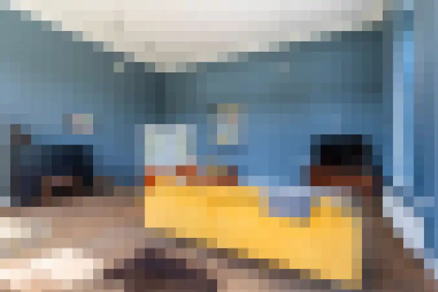 Langpaed 2 Menaam thumbnail 23