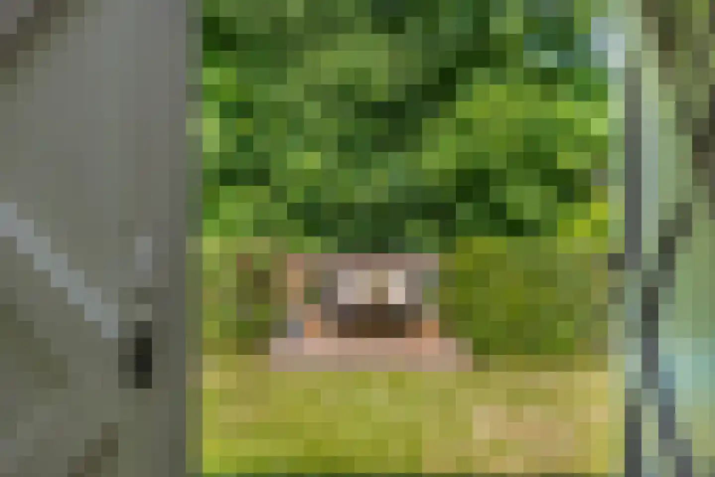 Langpaed 2 Menaam thumbnail 33