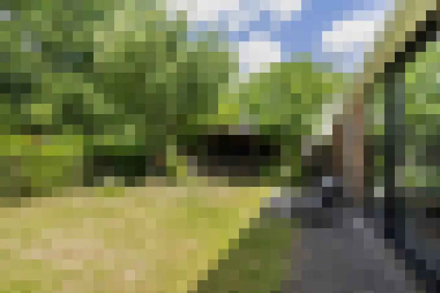 Langpaed 2 Menaam thumbnail 34