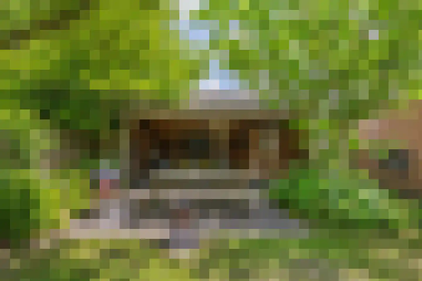 Langpaed 2 Menaam thumbnail 35