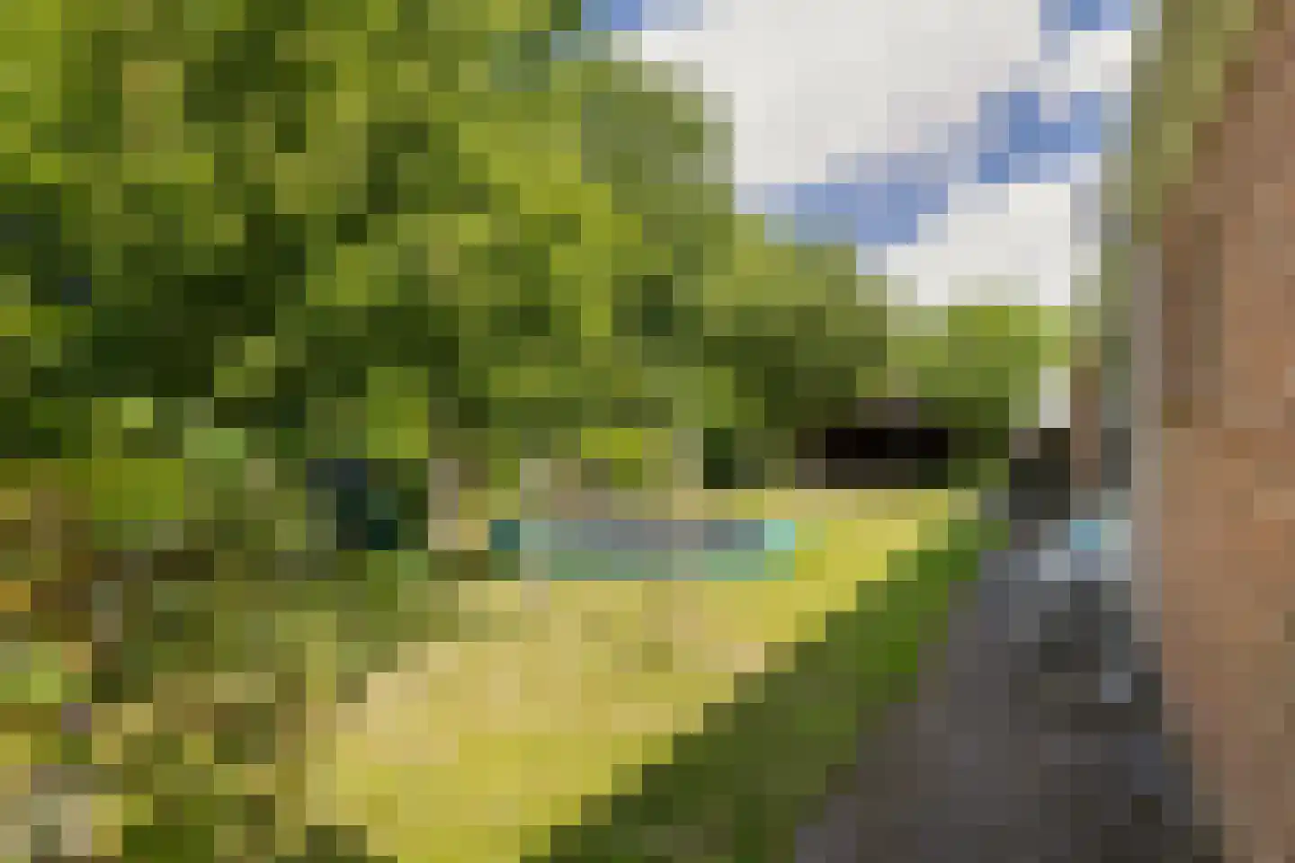 Langpaed 2 Menaam thumbnail 37