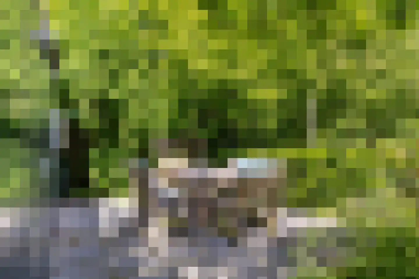 Langpaed 2 Menaam thumbnail 38
