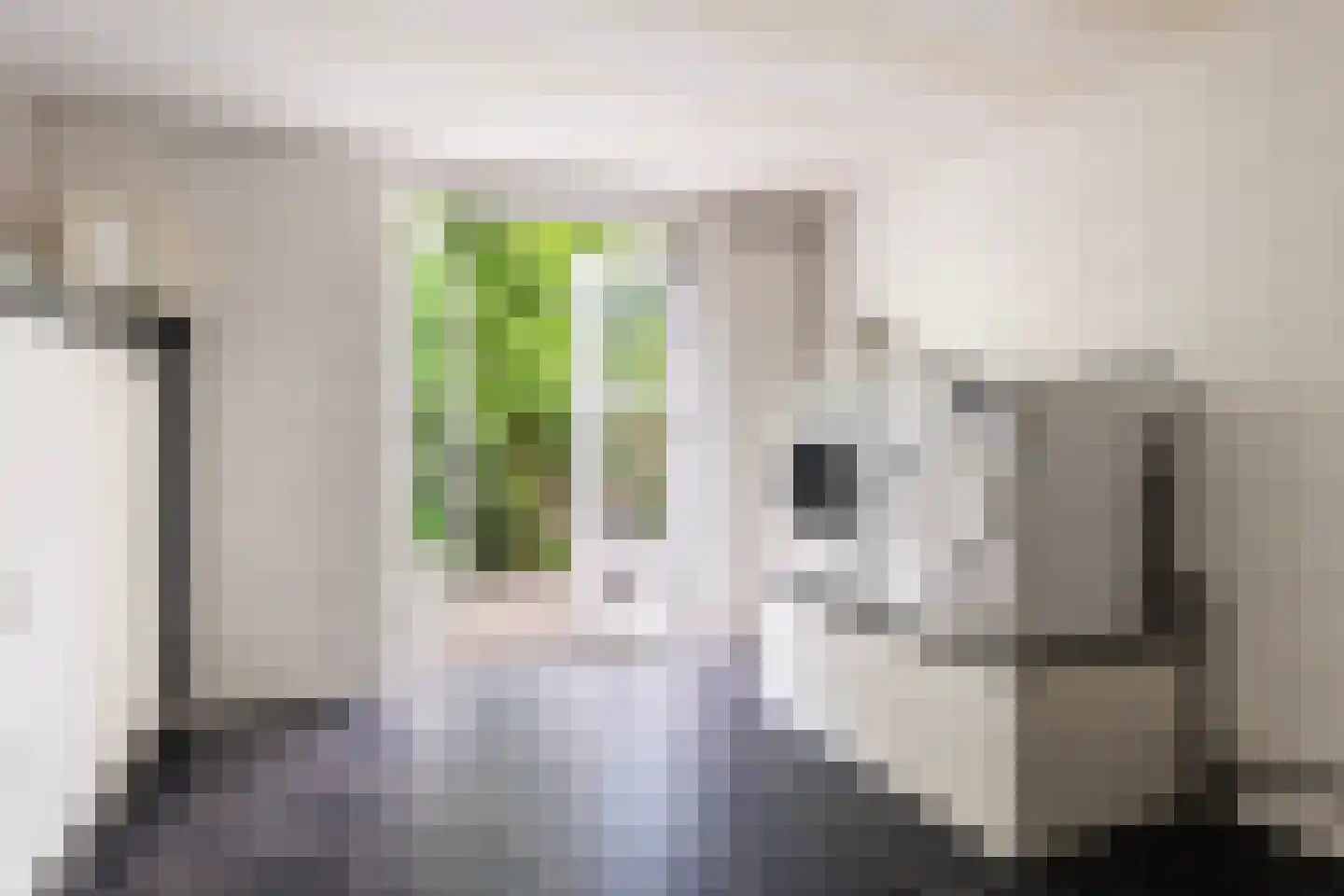 Langpaed 2 Menaam thumbnail 41