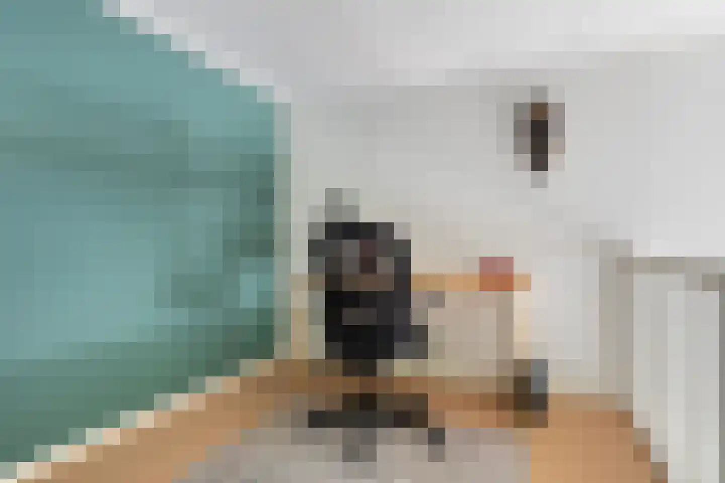 Langpaed 2 Menaam thumbnail 45