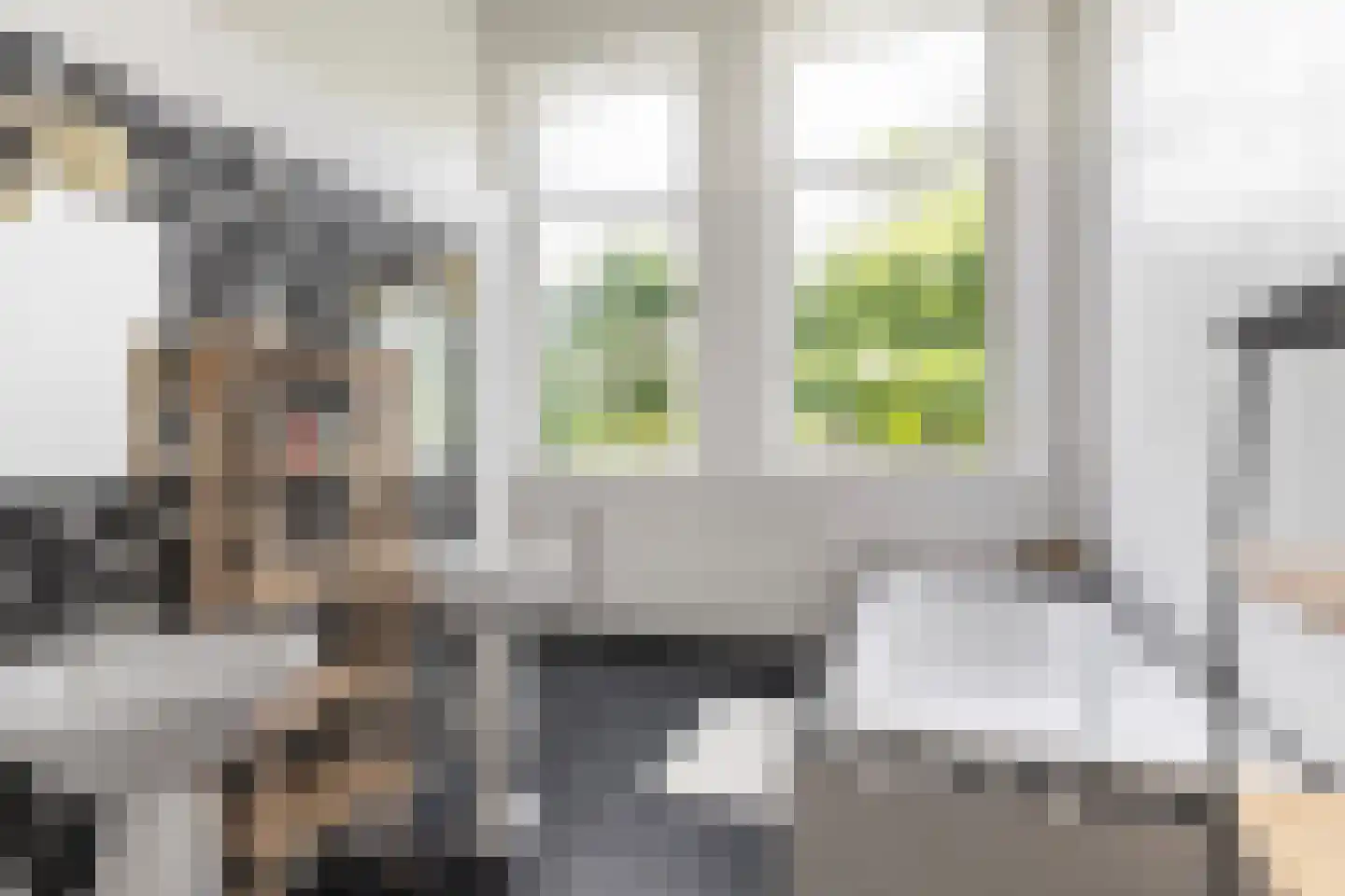 Langpaed 2 Menaam thumbnail 52