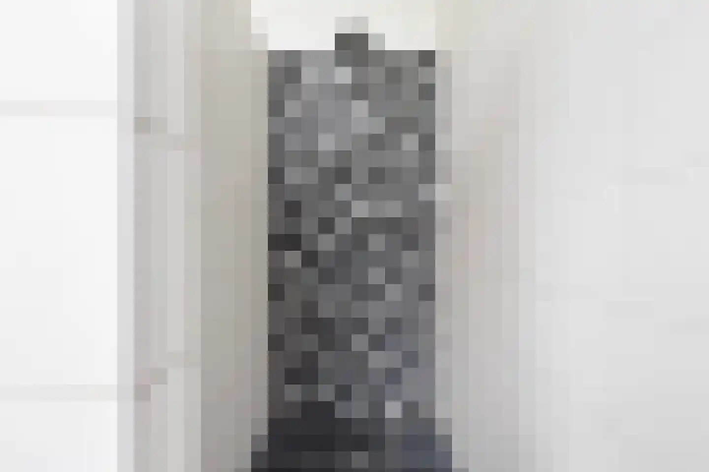 Langpaed 2 Menaam thumbnail 53