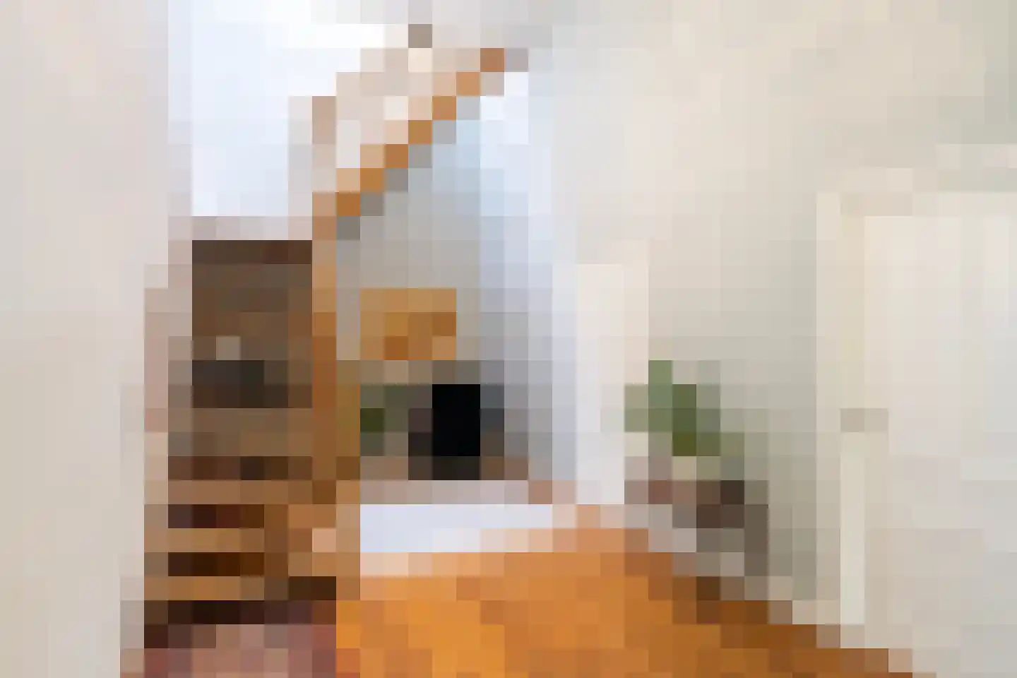 Langpaed 2 Menaam thumbnail 57