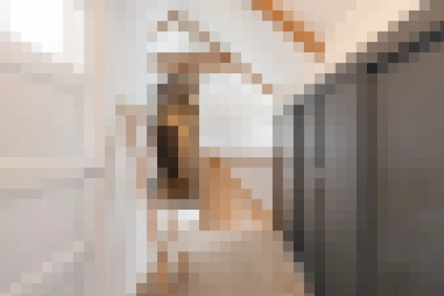 Langpaed 2 Menaam thumbnail 58