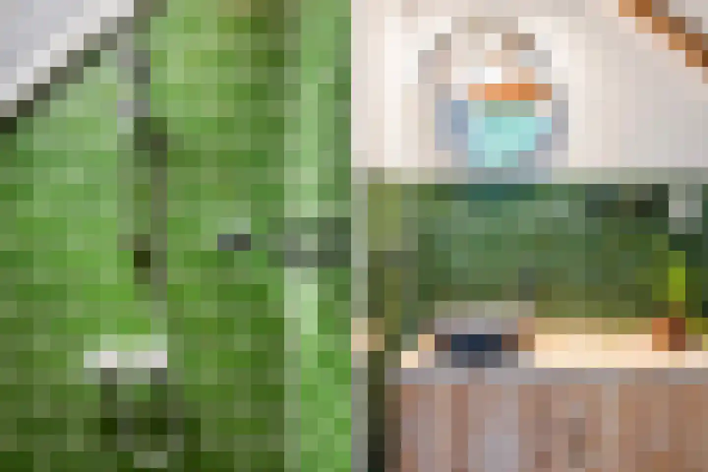 Langpaed 2 Menaam thumbnail 66