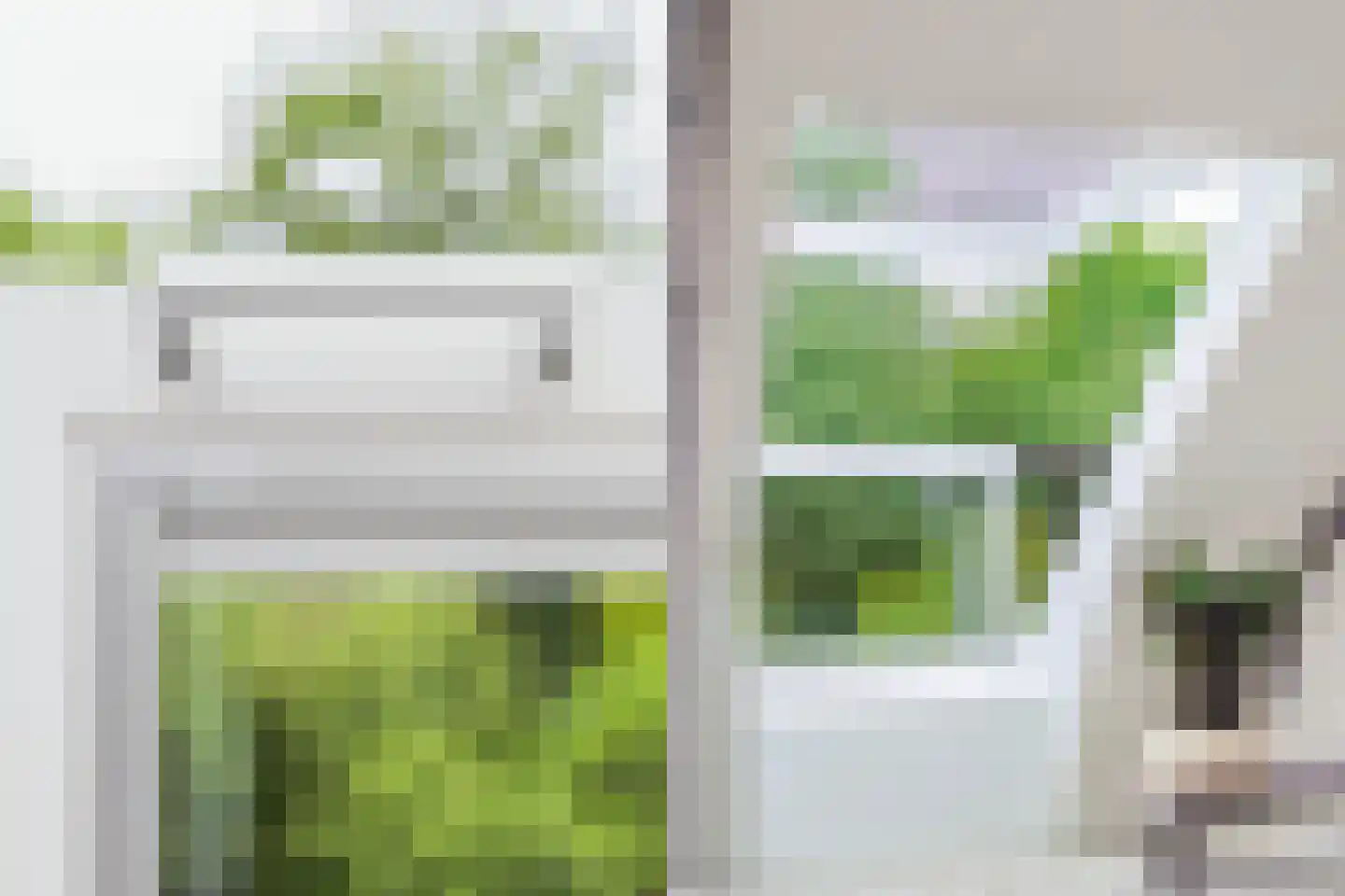 Langpaed 2 Menaam thumbnail 71