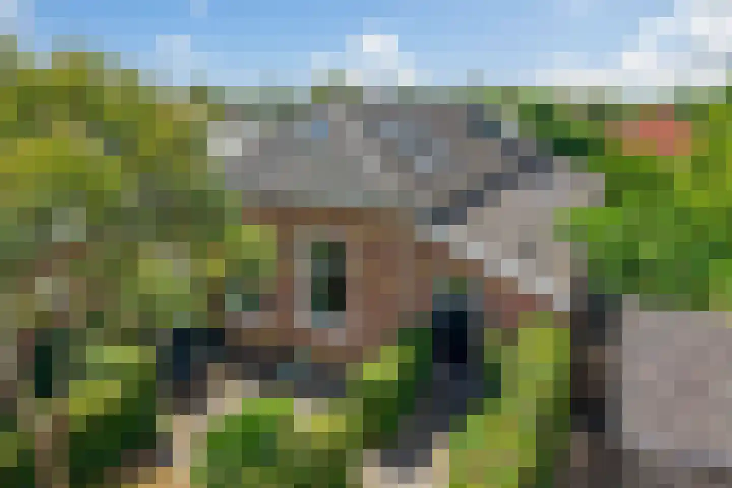 Langpaed 2 Menaam thumbnail 8