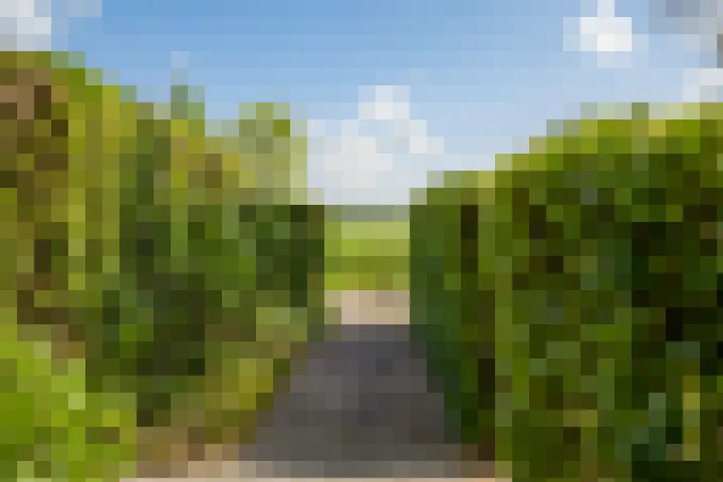 Langpaed 2 Menaam thumbnail 9