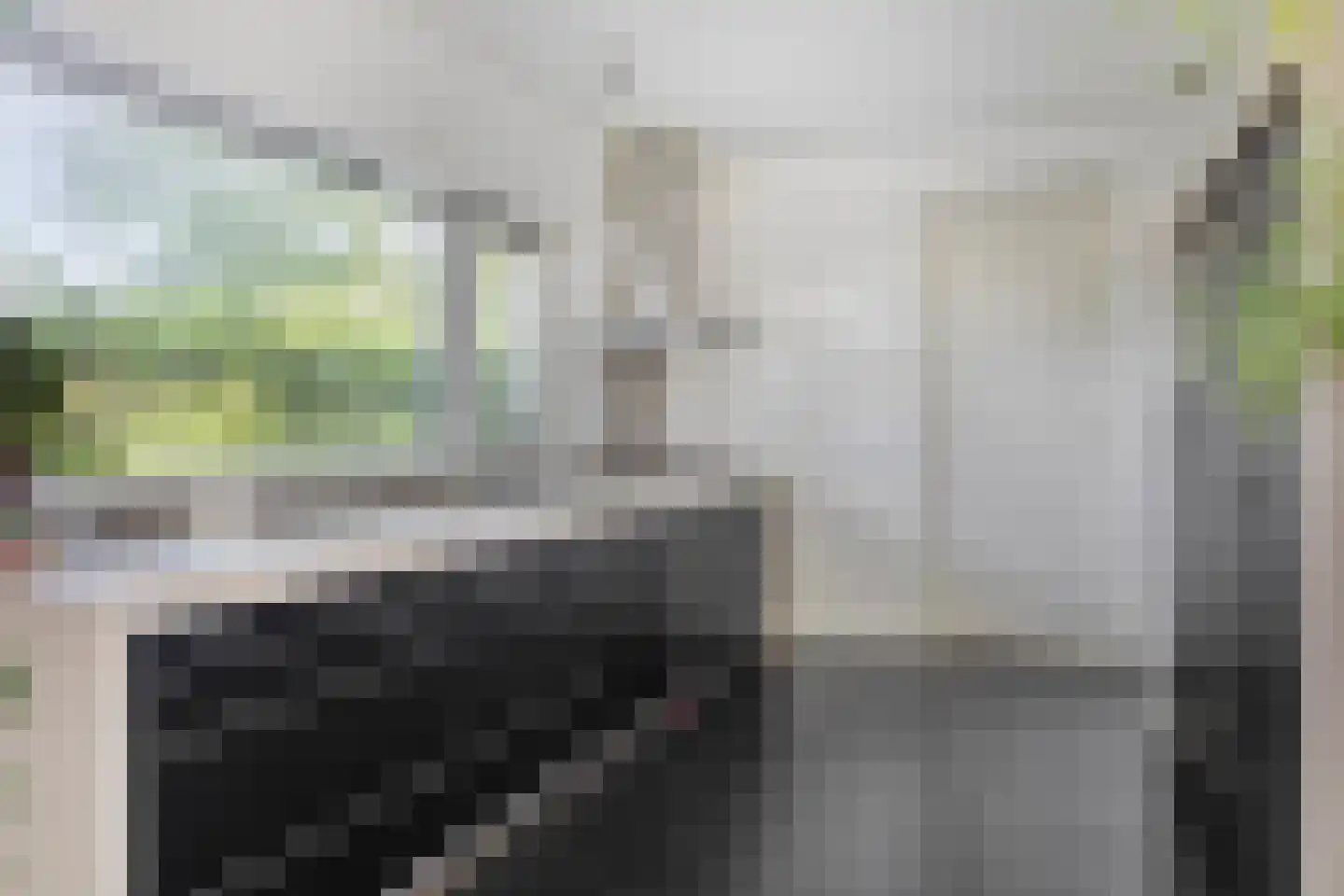 Langpaed 29 Siegerswoude thumbnail 13